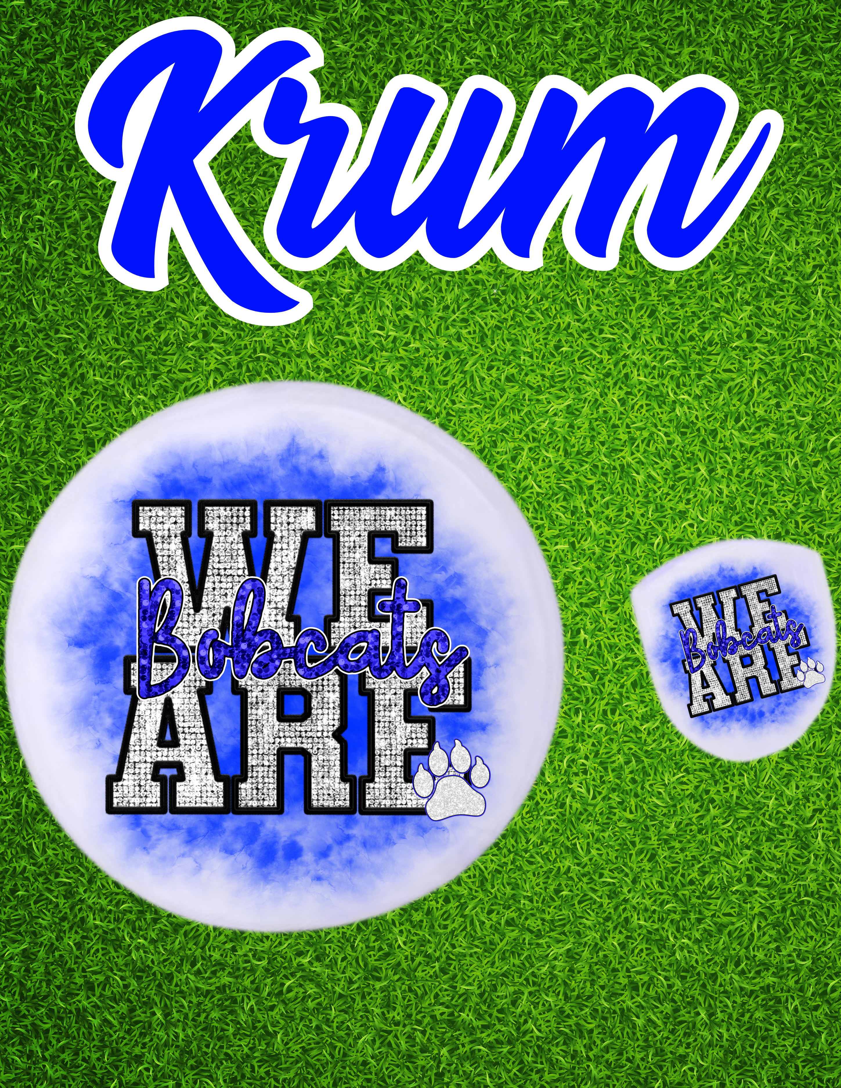 School Spirit Disc Fans